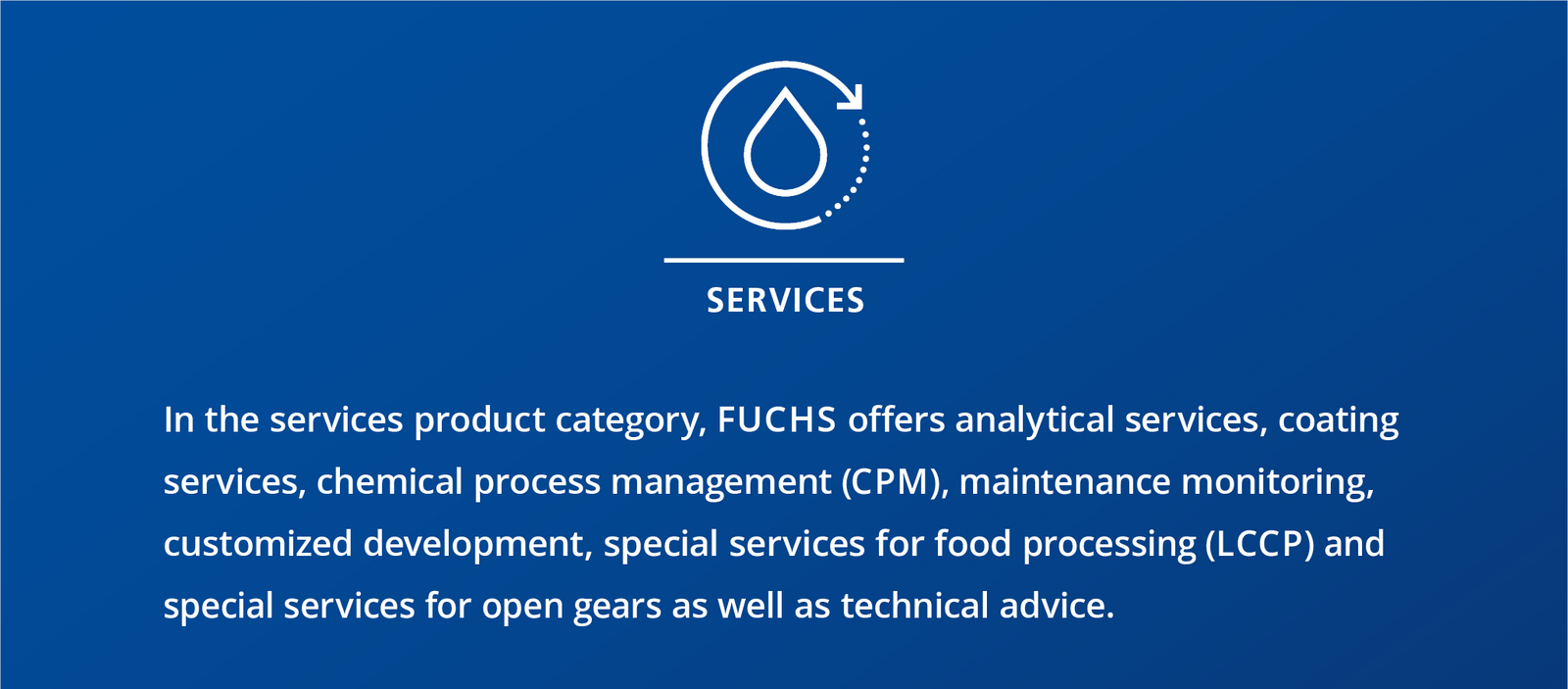 Blue information box explaining the services product category of FUCHS.