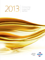 Cover of the Annual Report 2013 of FUCHS PETROLUB SE