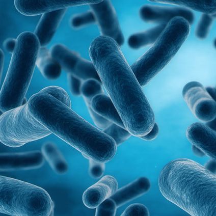 Microbiology – a weapon in the war against contaminants Microbiology – a weapon in the war against contaminants