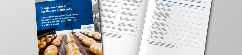 Mockup_interactivePDF_NSF