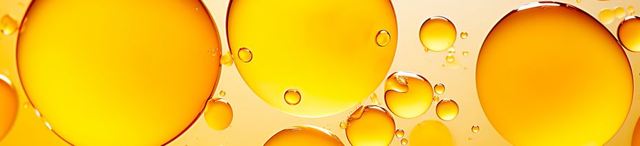 AdobeStock_904733039