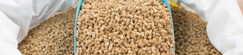 AdobeStock_111041845 AdobeStock_111041845