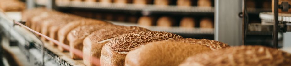 AdobeStock_358095135