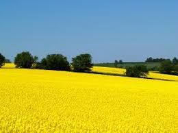 PLANTOSYN 3268 ECO ISO VG 46 PLANTOSYN 3268 ECO ISO VG 46