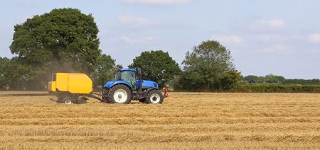 Home_Page_-_Agriculture_plus_forestry