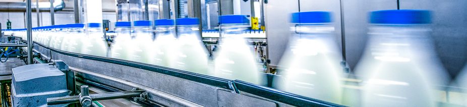 AdobeStock_382386810 AdobeStock_382386810