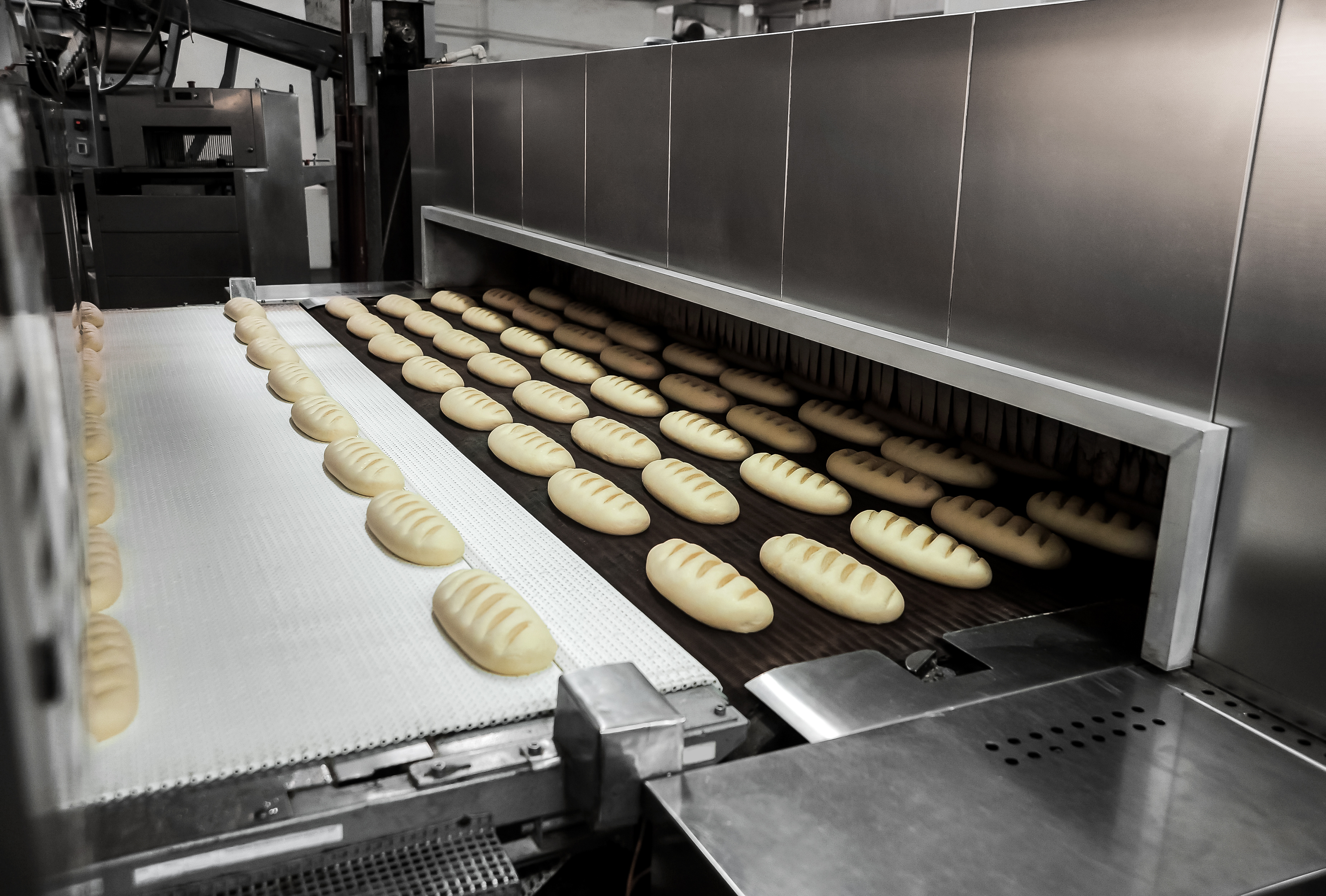 Production of bread at the bakery Production of bread at the bakery