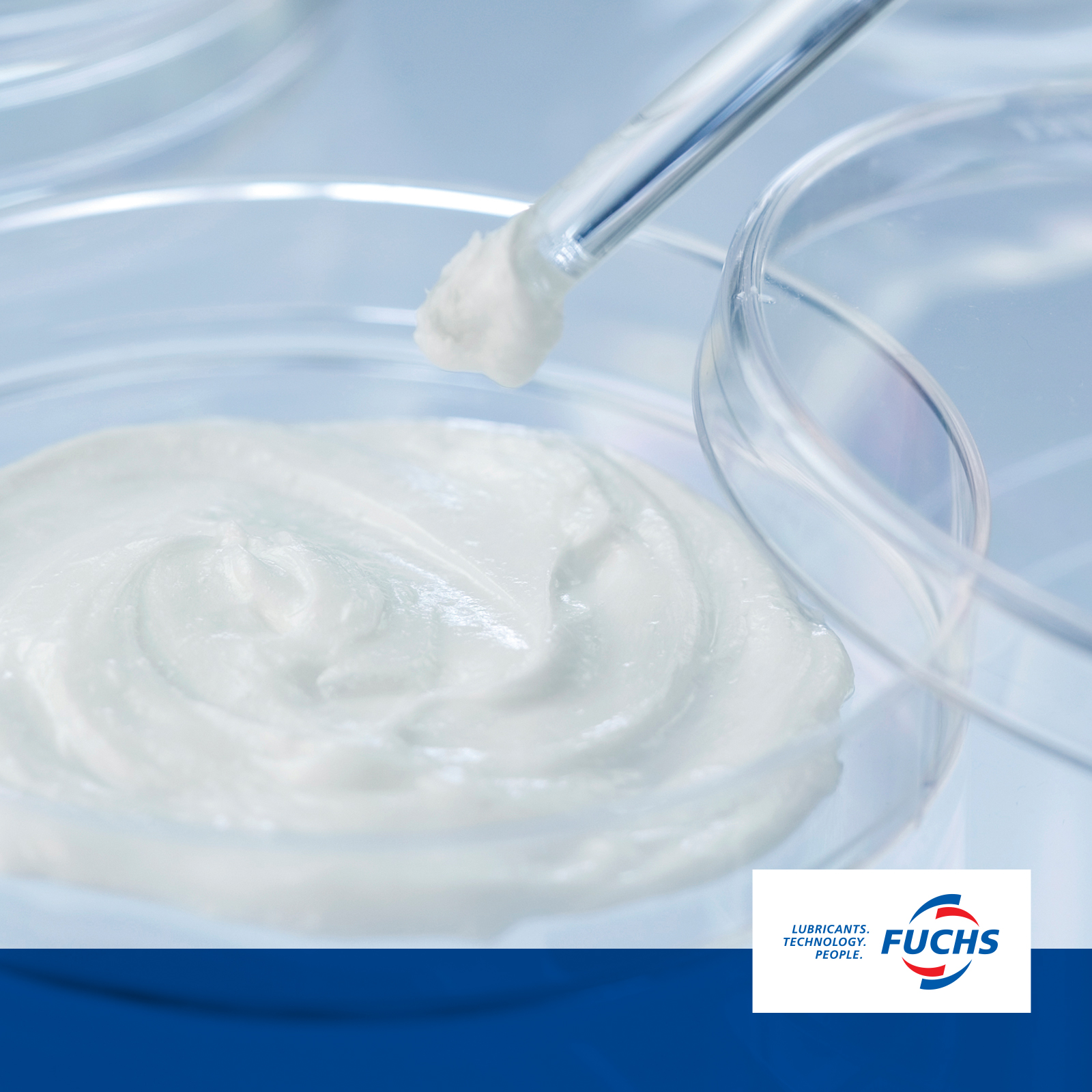 PHAT: THICKENER AND BINDER FROM NATURE PHAT: THICKENER AND BINDER FROM NATURE
